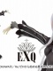 Re:Zero EXQ Echidna