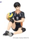 Haikyuu! Noodle Stopper Tobio Kageyama