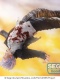Jujutsu Kaisen Figurizm Alpha Premature Death Awakening Satoru Gojo